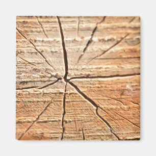 Tree Rings Magnet