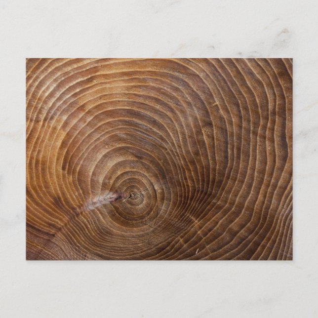 Tree rings postcard (Front)