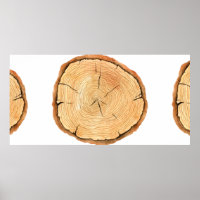 Tree rings. Watercolor illustration. hand drawn ab