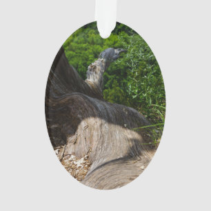 Tree Root Extension Ornament