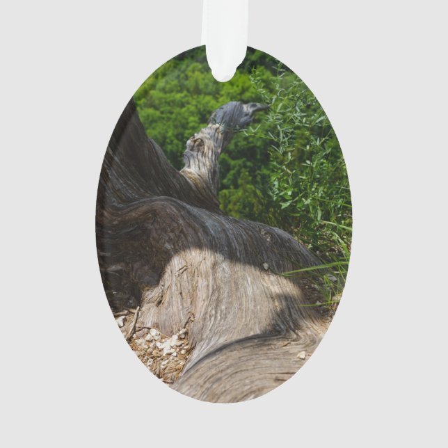 Tree Root Extension Ornament (Back)