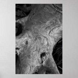 Tree Root Poster