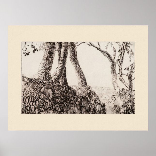 Tree Roots Cornwall Eleanor Hughes Restrike Print (Front)
