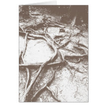 Tree roots on Mt. Kurama