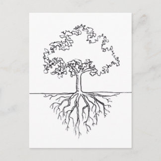 Tree Roots Postcard