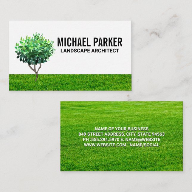 Tree Sapling | Grass Field Background Business Card (Front/Back)
