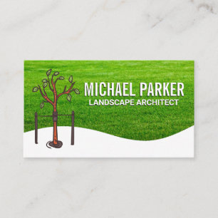 Tree Sapling   Grass Field Business Card