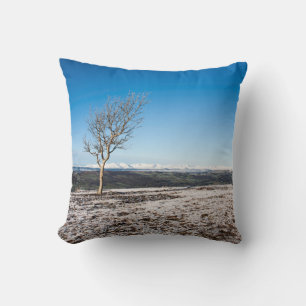 Tree Scout Scar Old Man of Coniston background Throw Pillow