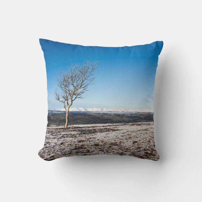 Tree Scout Scar Old Man of Coniston background Throw Pillow (Front)