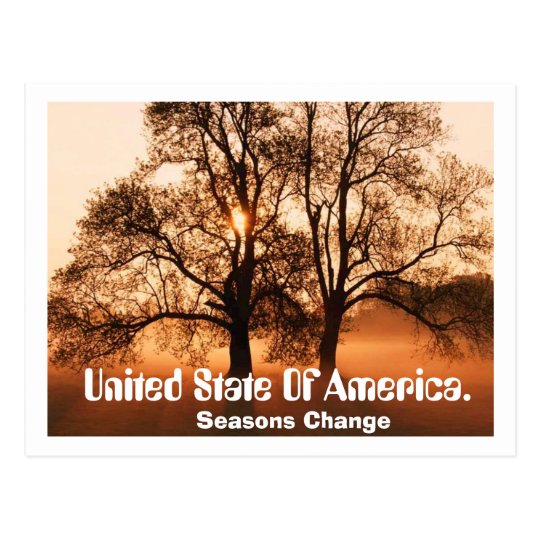 Tree, Seasons Change, United State Of Ameica. Postcard
