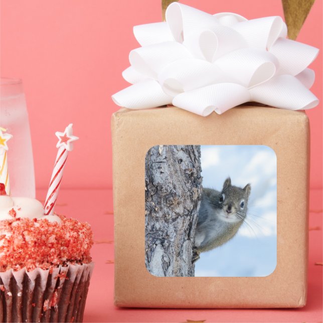 Tree‑Side Squirrel Moment Square Sticker (Party)