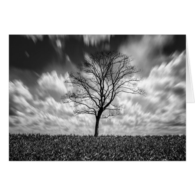 tree silhouette black and white landscape (Front Horizontal)