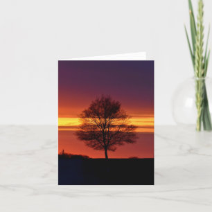 Tree silhouette blank notecard.  thank you card