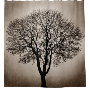Tree Silhouette Brown Sepia Design 205
