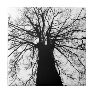 Tree Silhouette in Black and White Tile