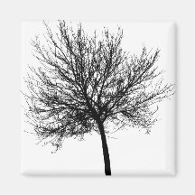 Tree Silhouette