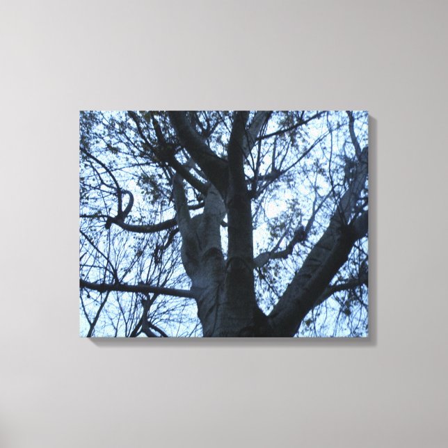Tree Silhouette Photogarph Canvas Print (Front)