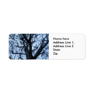 Tree Silhouette Photograph Custom Address Labels