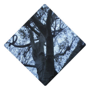 Tree Silhouette Photograph Graduation Topper