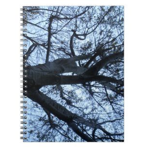 Tree Silhouette Photograph Notebook