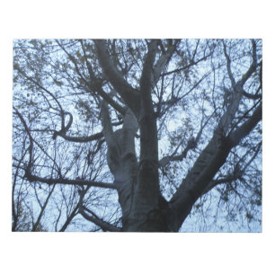 Tree Silhouette Photograph Notepad