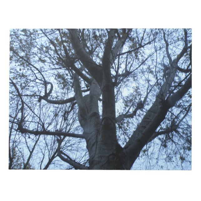 Tree Silhouette Photograph Notepad (Front)
