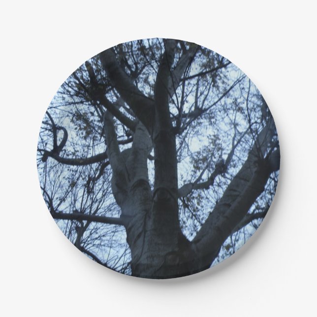 Tree Silhouette Photograph Paper Plate (Front)