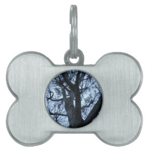 Tree Silhouette Photograph Pet Tag