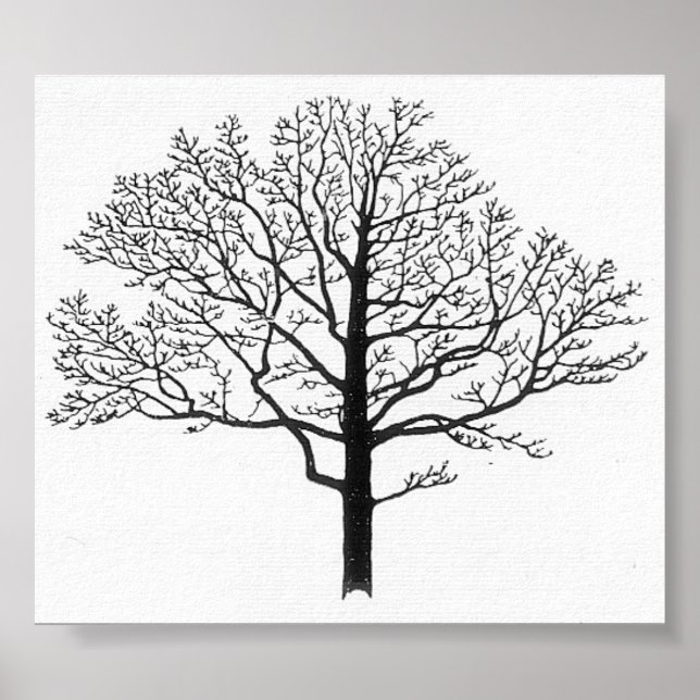 Tree Silhouette Poster (Front)