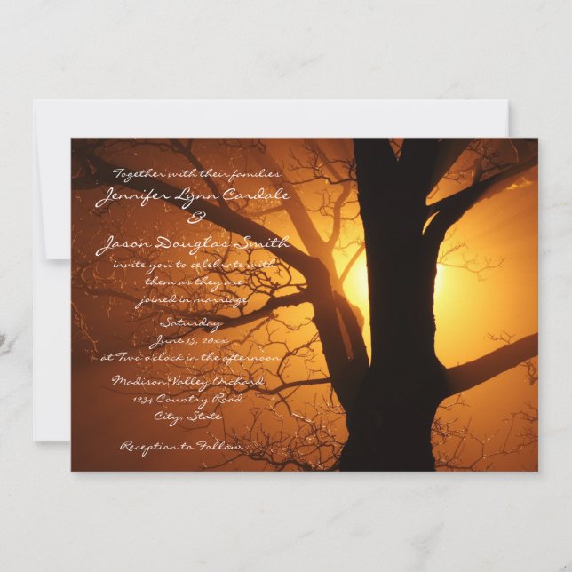 Tree Silhouette Sunset Country Wedding Invitations (Front)