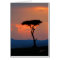 Tree Silhouette & Sunset, Masai Mara Card