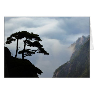Tree silhouetted at sunrise, Yellow Mountain,