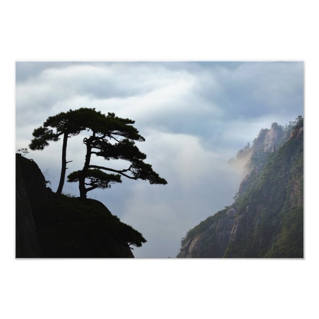 Tree silhouetted at sunrise, Yellow Mountain, Photo Print (Front)