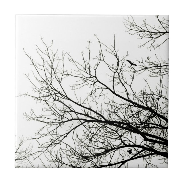 Tree Silhouettes - tile (Front)