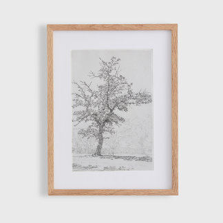 Tree sketch. Vintage  Poster