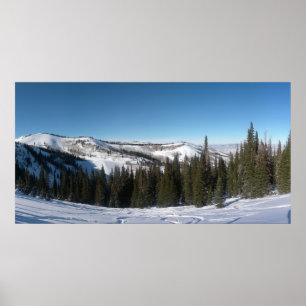 Tree Skiing Poster