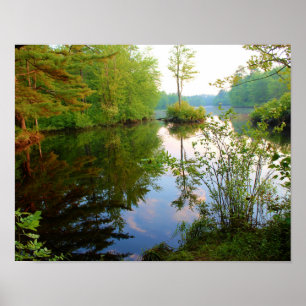 Tree & Sky Reflections Poster