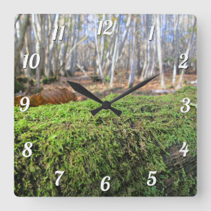 Tree Slumbers in Autumn Moss - Square Wall Clock