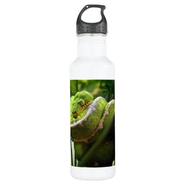 Tree Snake 710 Ml Water Bottle (Front)