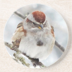 Tree Sparrow in Winter Coaster