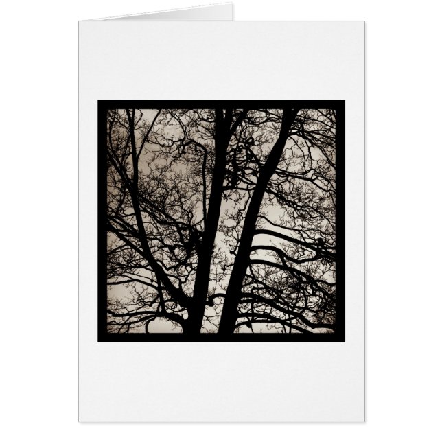 Tree Spirits (Front)