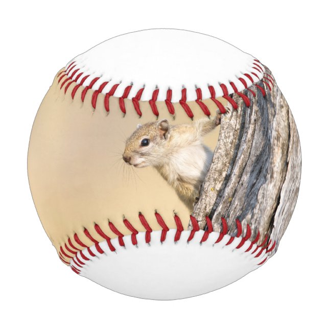 Tree squirrel baseball (Front)