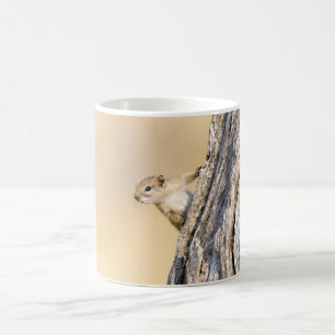 Tree squirrel coffee mug