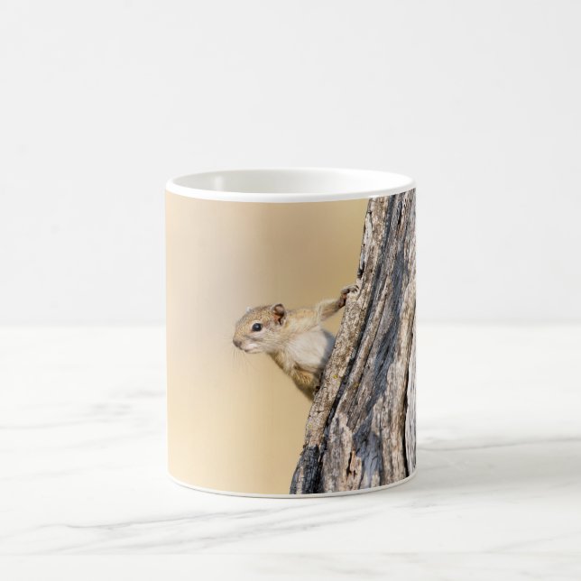 Tree squirrel coffee mug (Center)