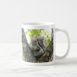 Tree Squirrel Coffee Mug