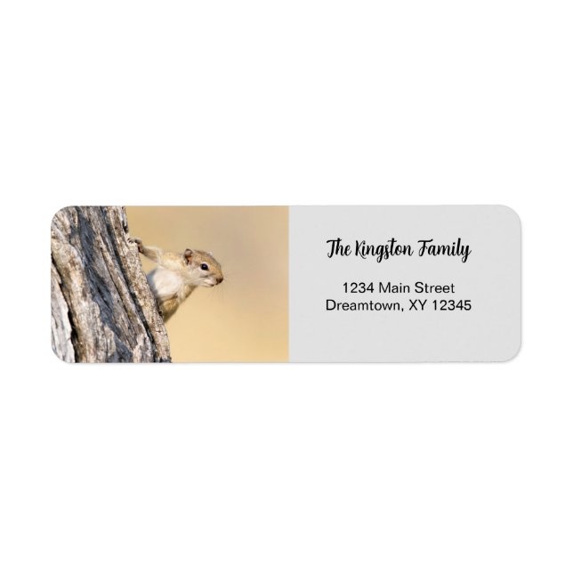 Tree squirrel funny personalized Return Address (Front)