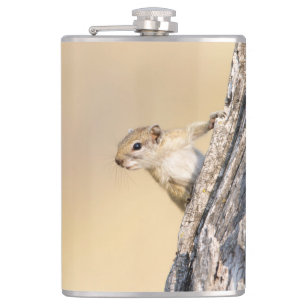 Tree squirrel hip flask