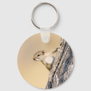 Tree squirrel keychain