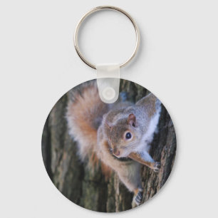 Tree Squirrel  Keychain