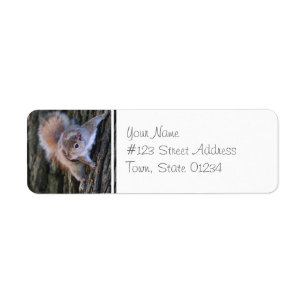 Tree Squirrel  Mailing Labels
